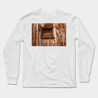 Viola in window Long Sleeve T-Shirt